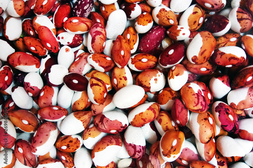 multi-colored beans background or texture