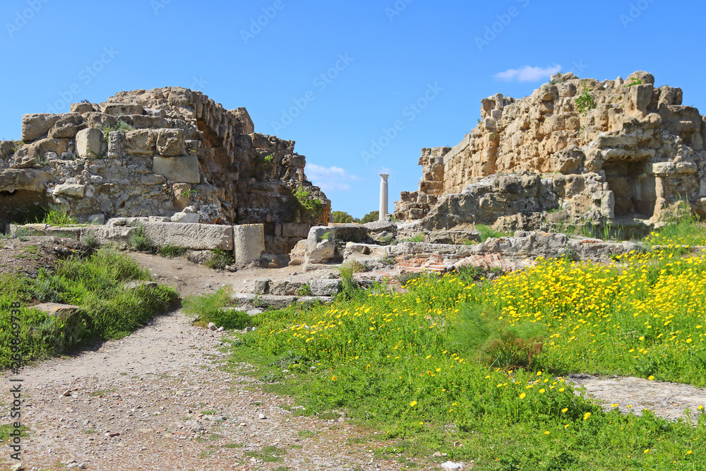 Romans ruins of the city of Salamis, near Famagusta, Northern Cyprus