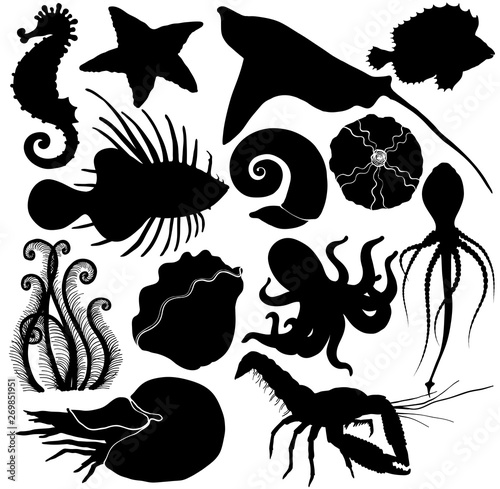 Silhouette Set with marine life organisms.