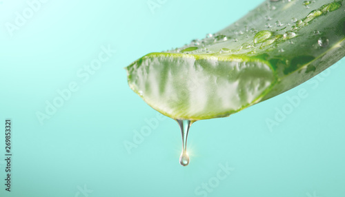 Aloe Vera gel dripping from Aloe green leaf closeup. Skincare concept. Drop of Aloevera fresh juice macro shot. Alternative medicine