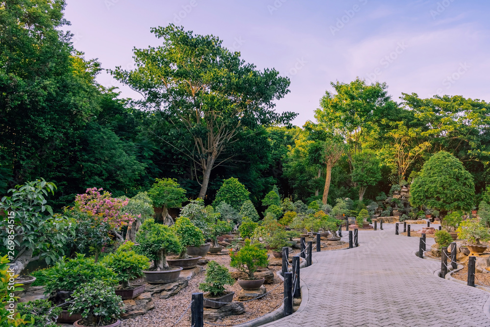 Variety of Bonsai trees were planted in pots and was many sorted for decoration in public garden.