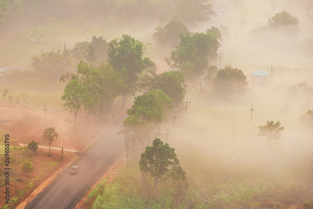 Fototapeta premium Aerial view of road with car through forest and fog in the morning