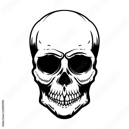 Human skull isolated on white background. Design element for poster, card, banner, t shirt, emblem, sign. Vector illustration