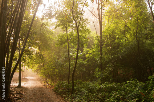 The country is in the early morning.Qionglai county, Chengdu city, Sichuan prov. China.