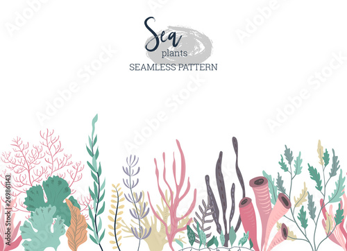 Vector seamless pattern with underwater ocean coral reef plants