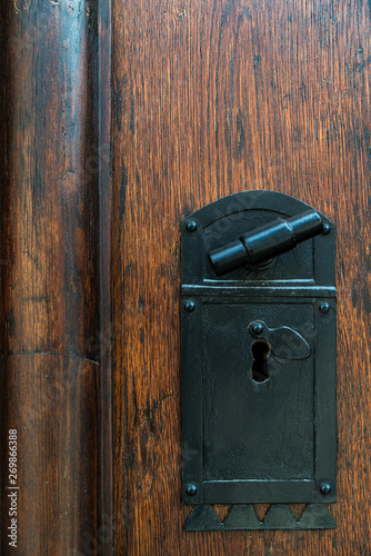 old castle door close-up, wood texture