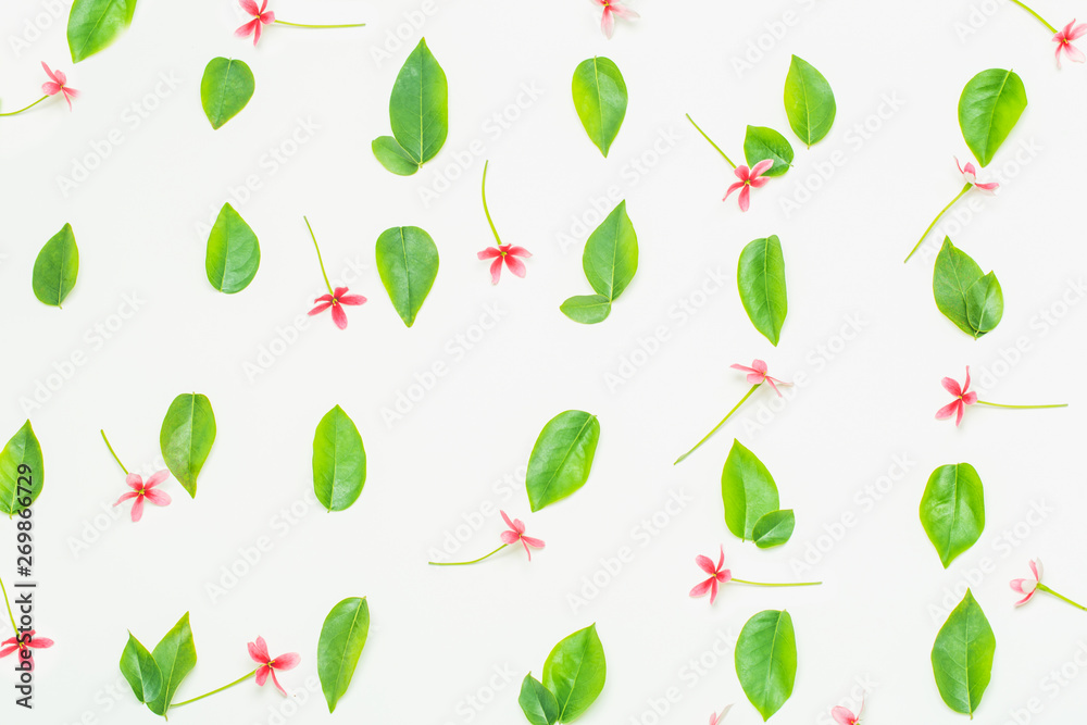 Cute little flowers and green leaves on white background, Flower pattern Cute little flowers and green leaves on white background, Flower pattern
