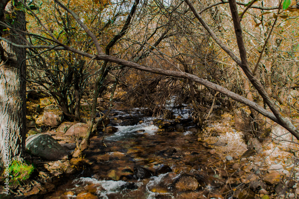 Rivers and streams of water. Pedriza Park, Madrid, Spain. Rivers and streams of water. Pedriza Park, Madrid, Spain.