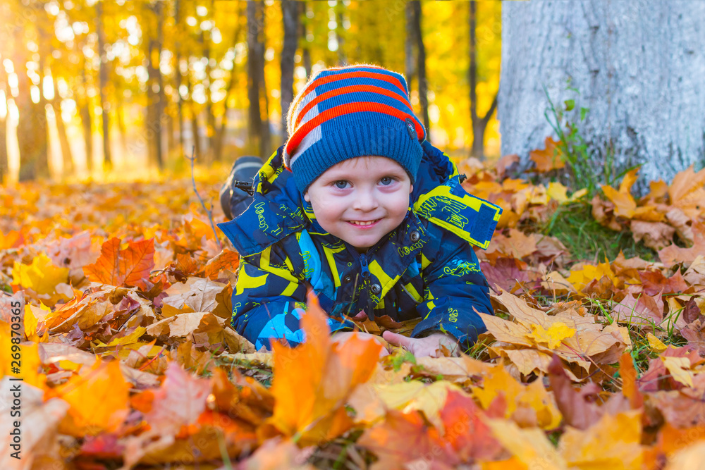 cheerful boy on a walk lies in the autumn leaves cheerful boy on a walk lies in the autumn leaves
