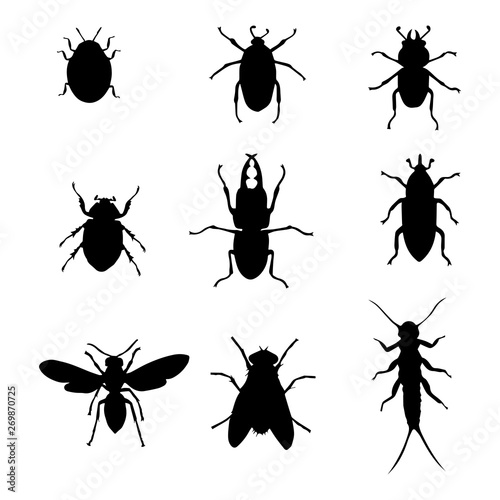 Set of insects collection. insects silhouette . Vector EPS 10.