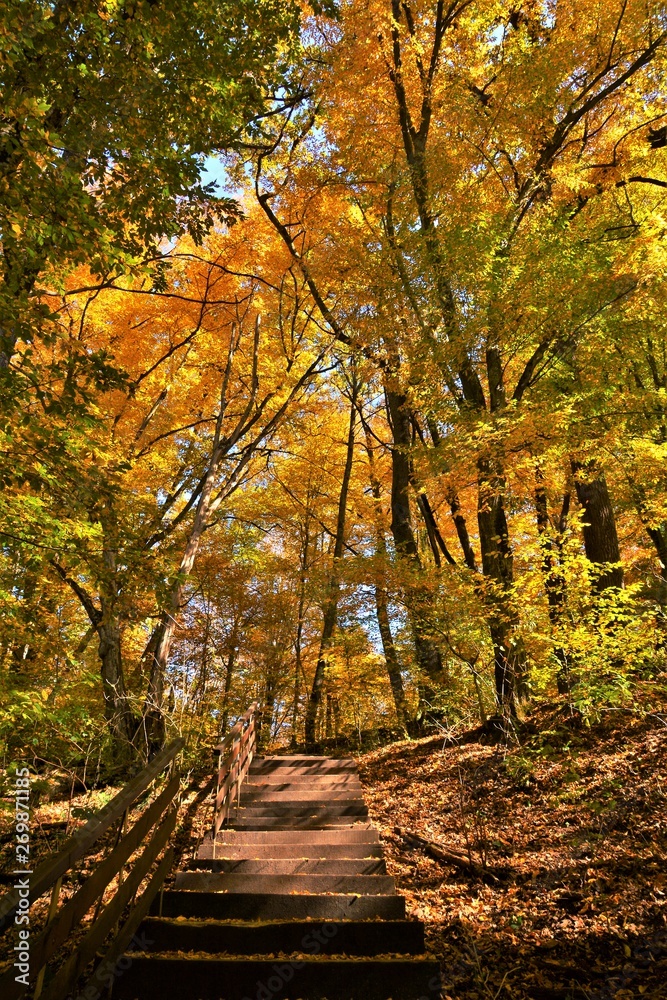 Obraz premium alley with stairs in autumn forest