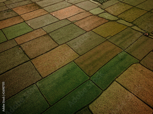 travel around Indonesia Bali drone photography