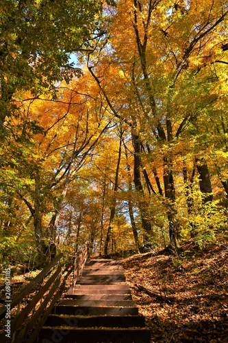 alley with stairs in autumn forest