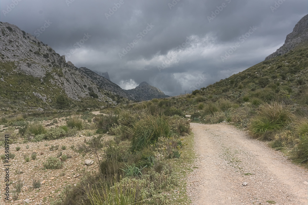 Beautiful landscape of Mallorca, Spain. Lush Green Landscape. Mountains covered with vegetation, a rural road to the Spanish house. Sunny, hot Spanish day. Mountain village