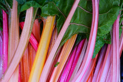 Bunches of rainbow Swiss chard with bright red  and orange stalks and green leaves for sale at a farmers market