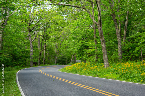 Scenic Drive in a US National Park with Wildflowers