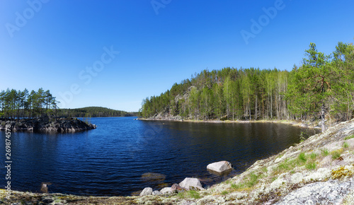 Forest lake summer landscape. Beautiful forest lake panorama. National park Kolovesi