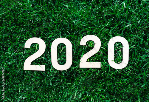White 2020 numbers on green grass background, closeup
