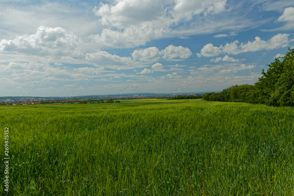 Landschaft bei Erfurt im Frühling