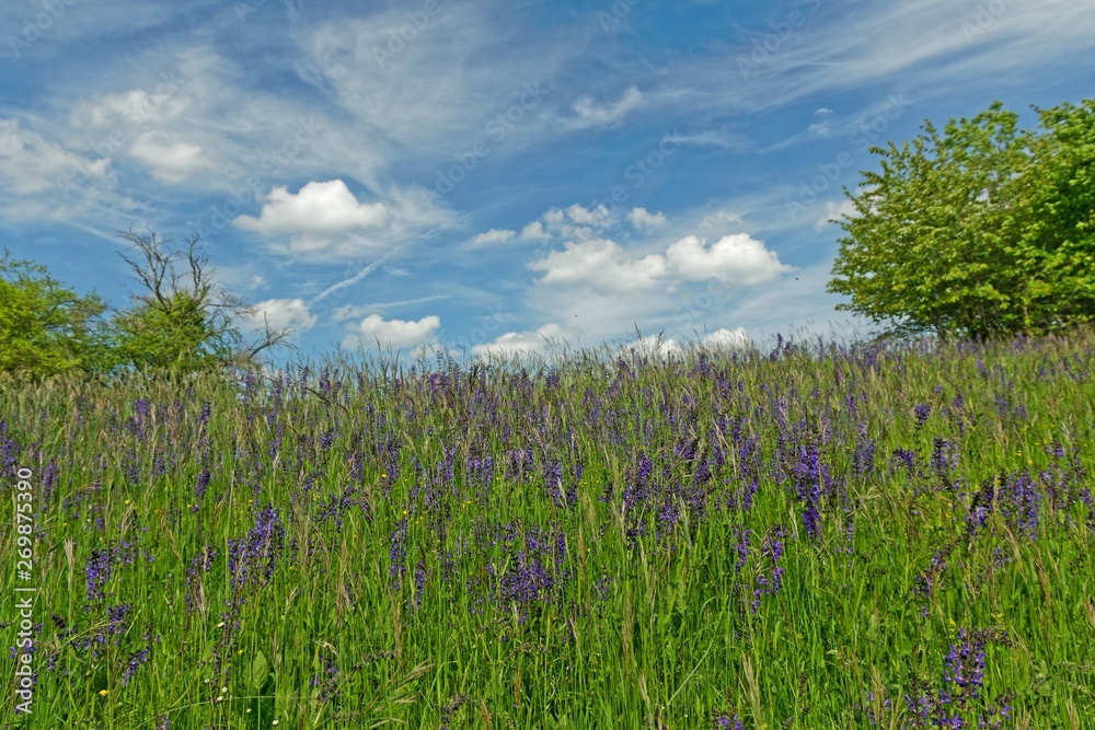 Landschaft in Thüringen nahe Erfurt im Frühling Landschaft in Thüringen nahe Erfurt im Frühling