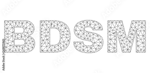 Mesh vector BDSM text caption. Abstract lines and dots are organized into BDSM black carcass symbols. Linear carcass 2D polygonal mesh in vector EPS format.
