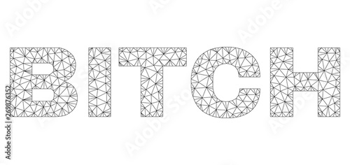 Mesh vector BITCH text. Abstract lines and dots are organized into BITCH black carcass symbols. Wire carcass flat triangular mesh in vector format.