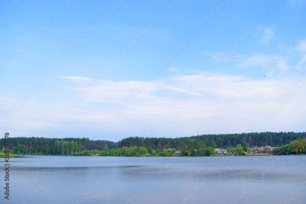 Beautiful view of the lake and forest in the distance.Nature in summer.