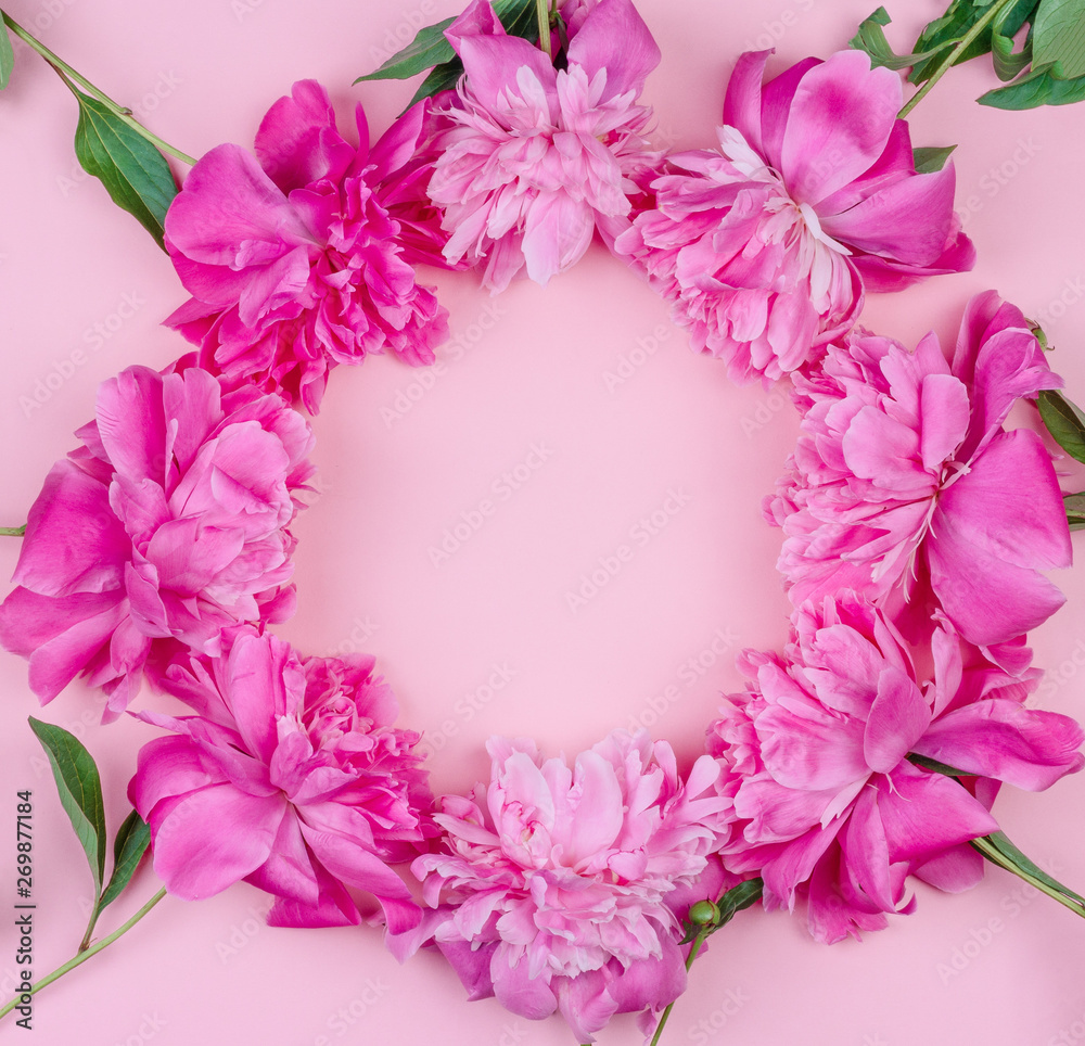 round frame bouquet of pink peony flowers close-up on pink background with copy space, top view flat lay