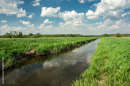Eastern Poland and the river flowing through green meadow  forest and white clouds on sky