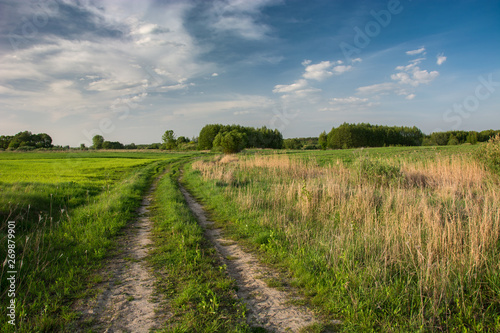 Dirt road through green meadows and fields