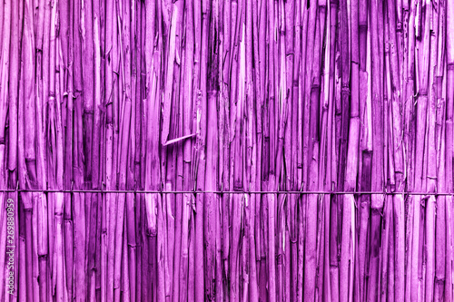 Toned purplle detail of Japanese thatched roof texture background. straw wall. Hay or dry grass background. Thatch roof for background, dried straw or cane. photo