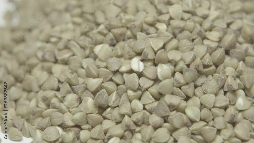 buckwheat in high quality on white background buckwheat in high quality on white background