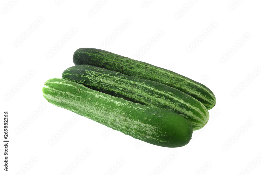 fresh cucumber isolated on the white background fresh cucumber isolated on the white background
