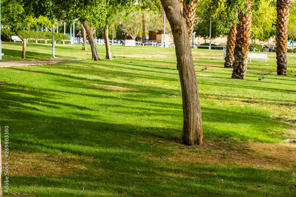 Fototapeta premium green park outdoor city square scenic landscape environment for walking and promenade, morning bright sunny lighting 