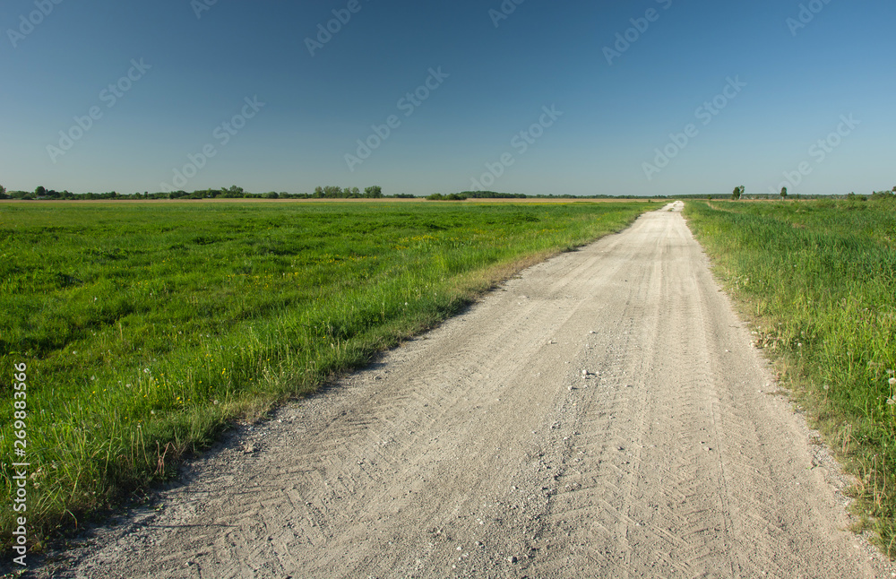 Gravel road to the horizon, green meadow and blue sky