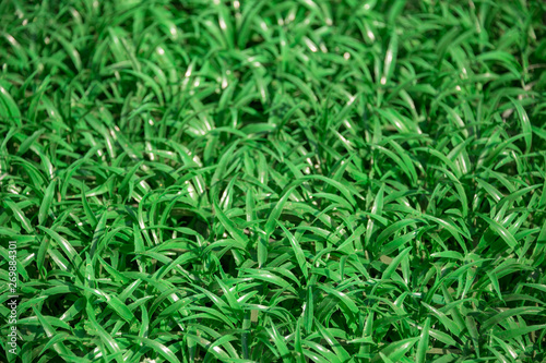 green background, artificial green grass