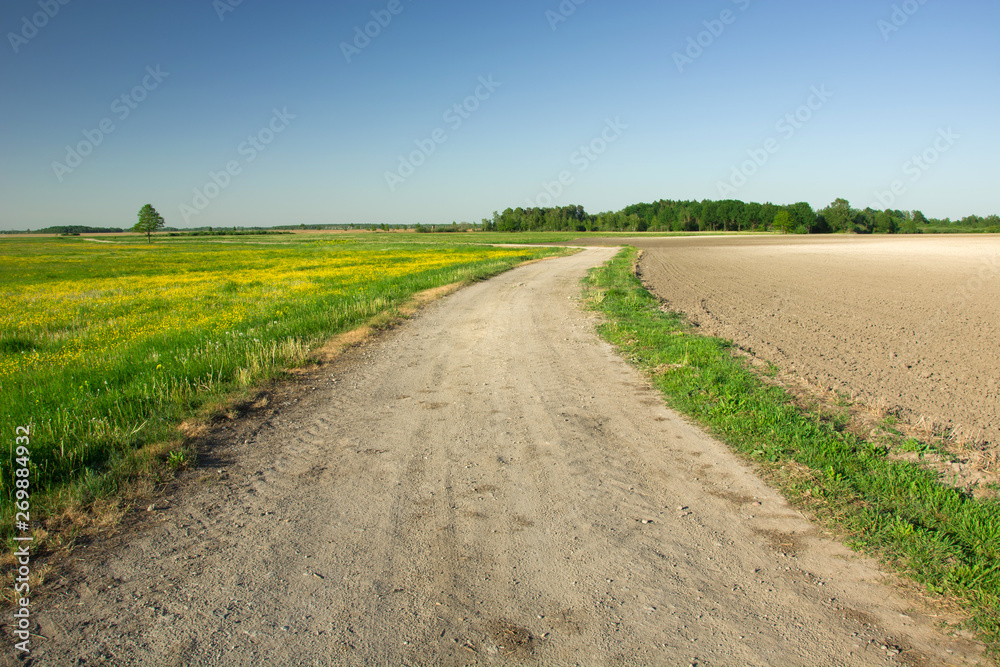 Gravel road through a green meadow with yellow flowers, plowed field, trees on the horizon and blue sky