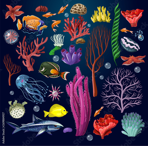 Marine inhabitans and herb isolated.