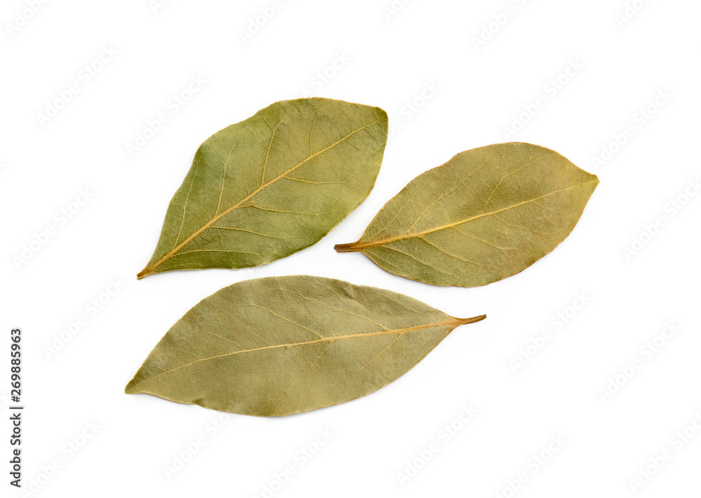 Dried bay leaf isolated on white background Dried bay leaf isolated on white background
