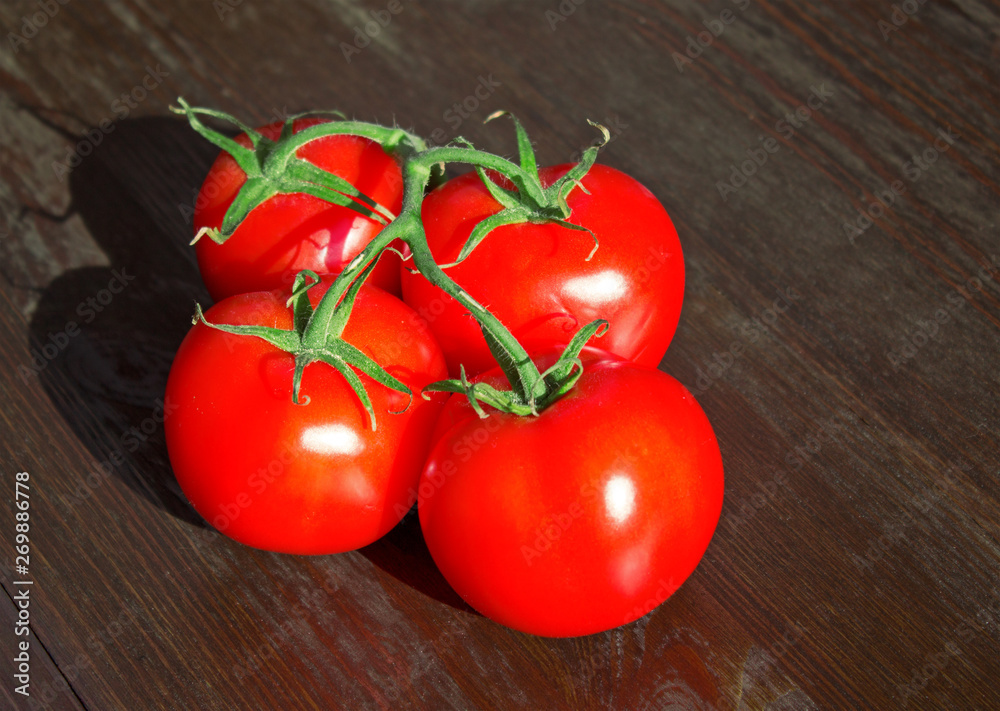 Tomatoes Tomatoes