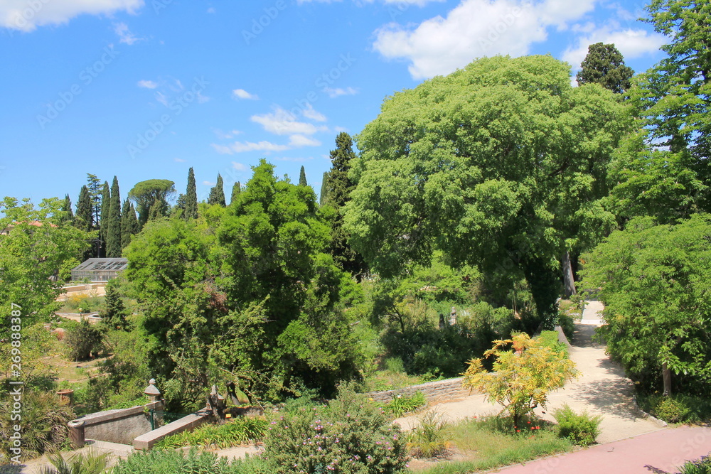 The famous Historic botanical garden and arboretum of Montpellier, the oldest in France, Herault, Occitanie