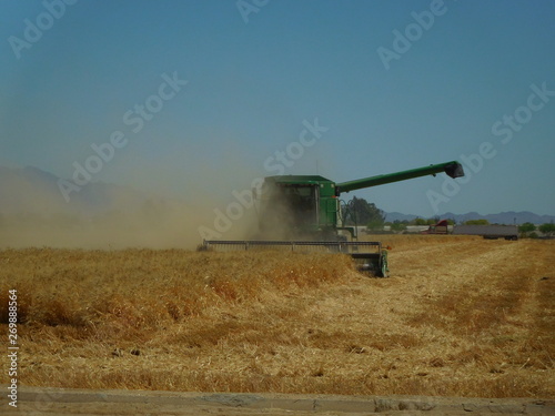 Arizona wheat harvesting