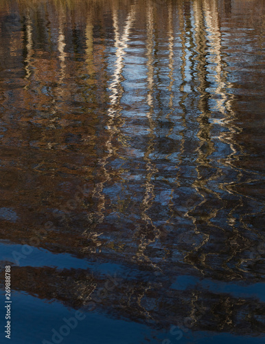 Reflection of birch trees in water. Moor.