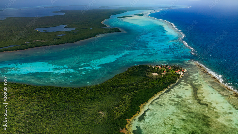 aerial view of island in sea