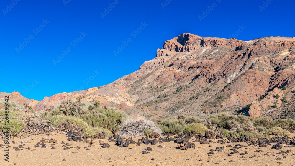 Rocks in the rocky desert