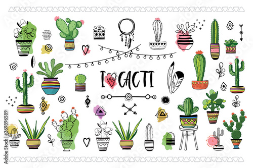 Set of cacti . Vector illustration