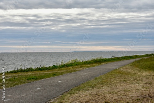  Cycle path along the sea  IJselmeer  Markerwaard  Holland
