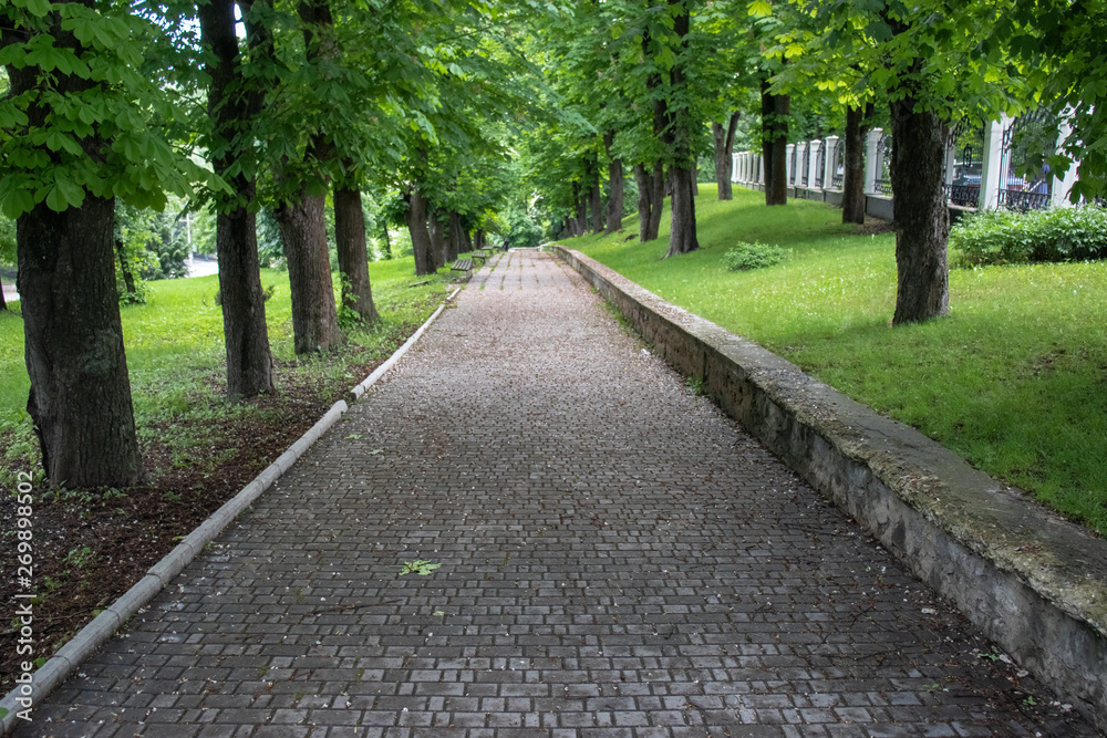 alley in the park