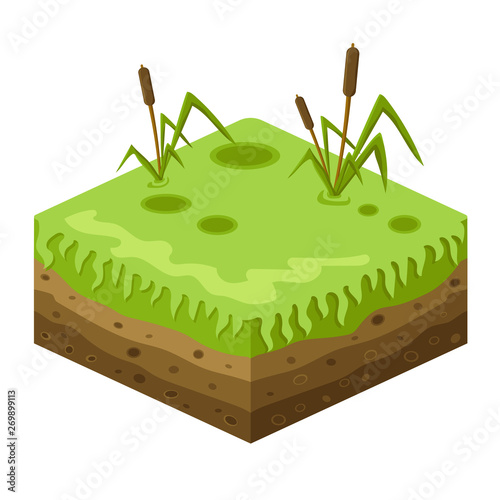 Soil layers vector isometric image