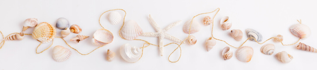 Banner summer background with white seashell and starfish on white.